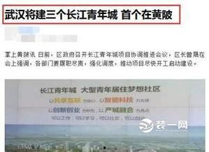 武汉青年城最新爆料事件,揭秘背后惊人真相